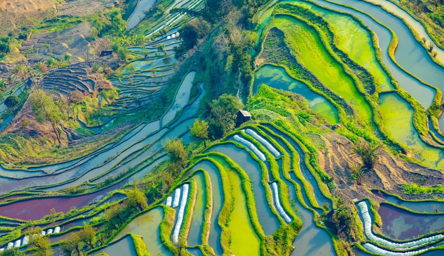 走进城北区TVC拍摄：解锁本地化场景与创意镜头的完美融合